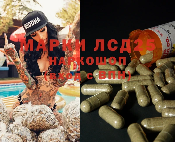 PSILOCYBIN Волоколамск