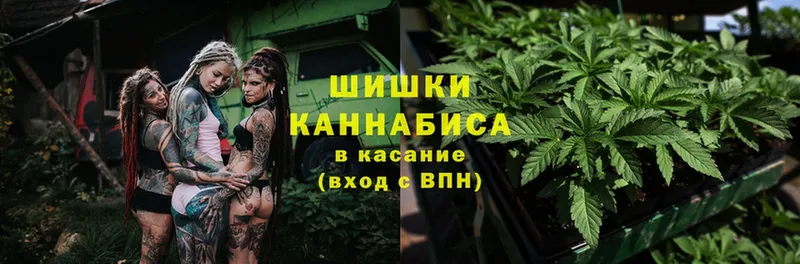 магазин    Белинский  Бошки Шишки THC 21% 